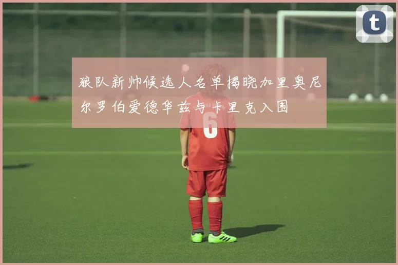 狼队新帅候选人名单揭晓加里奥尼尔罗伯爱德华兹与卡里克入围